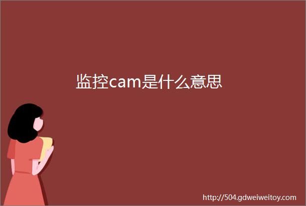 监控cam是什么意思